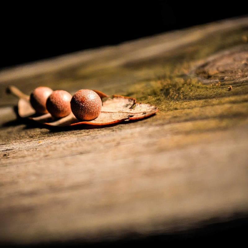 تصویر 1 از 2 — قاب سخت یوگرین برای گلکسی A54 — شرابی