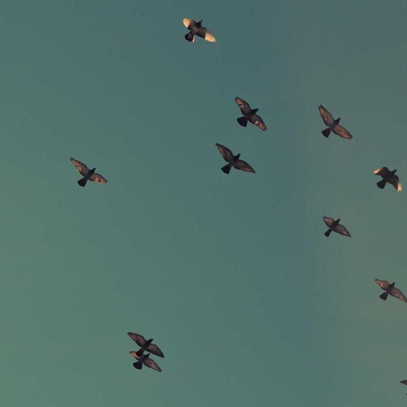 تصویر 1 از 2 — استبلایزر خودکار ولتاژ — ۵ کی‌وی‌ای