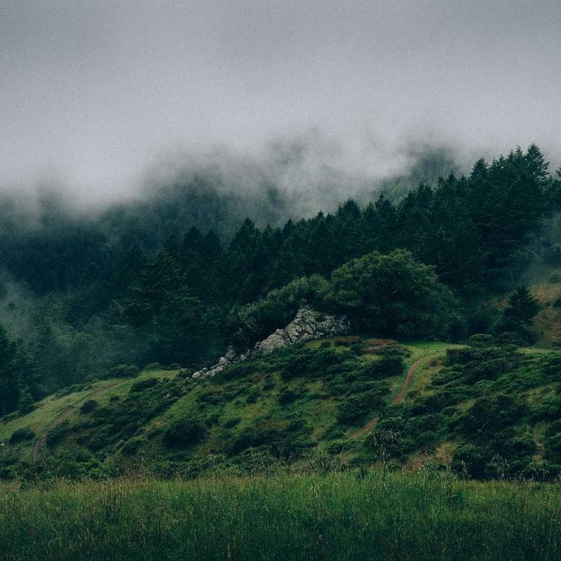تصویر 1 از 2 — تلویزیون ال‌ای‌دی — ۳۲ اینچ