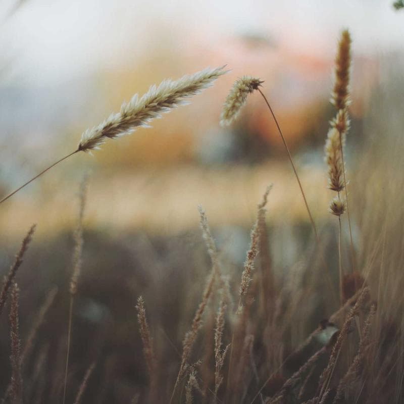 تصویر 1 از 2 — تلویزیون ال‌ای‌دی — ۴۳ اینچ